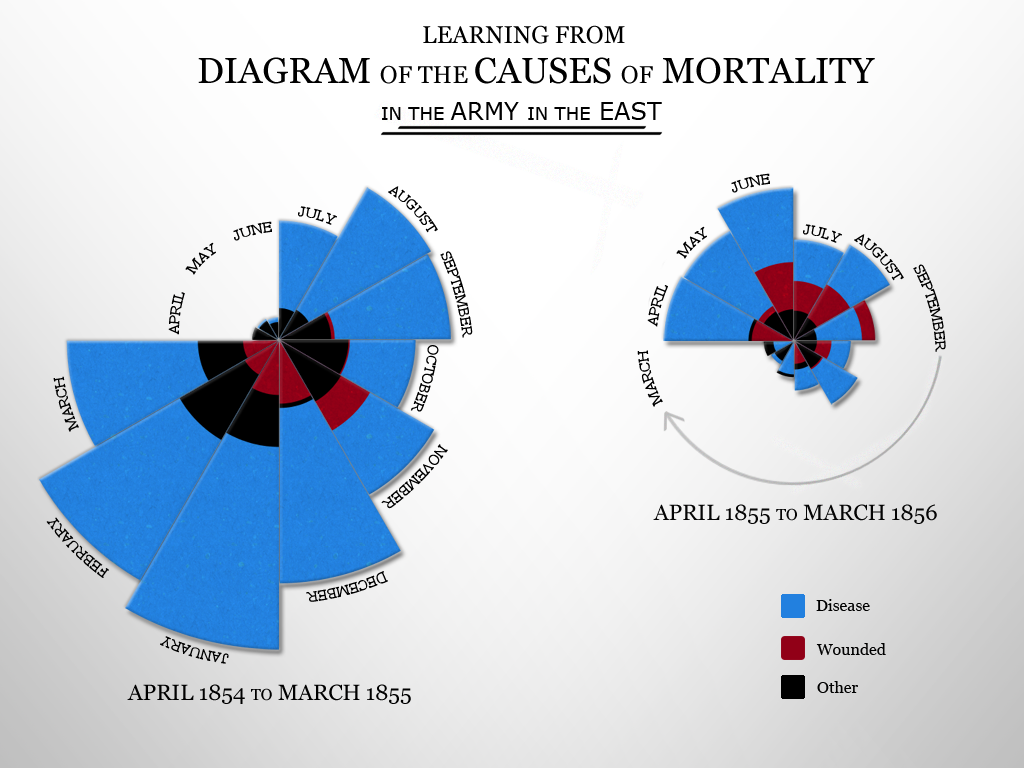 Nightingales Rose Diagram