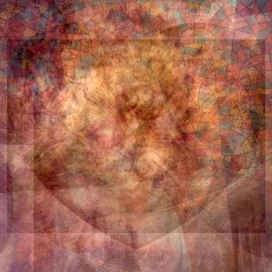 Average #beautiful cat